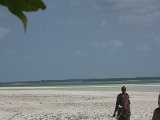   : Zanzibar 2011